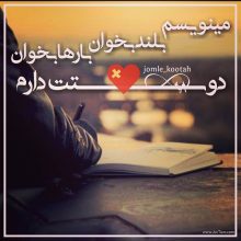 عکس نوشته عاشقانه مینویسم بلند بخوان دوستت دارم